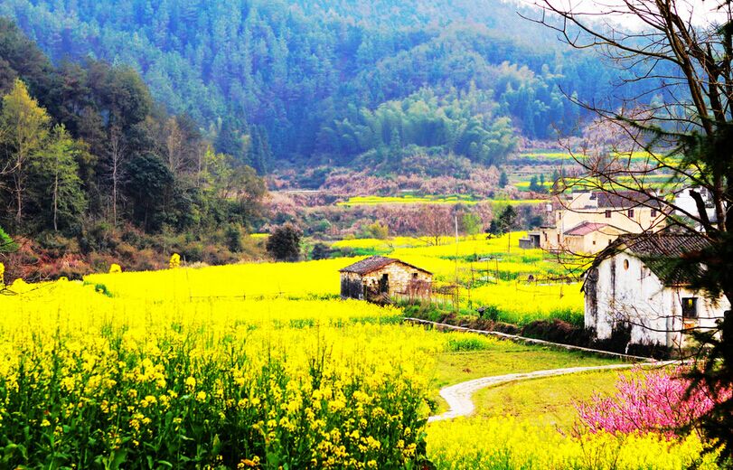 廬山主景區(qū)、婺源、江嶺梯田、三清山、景德鎮(zhèn)