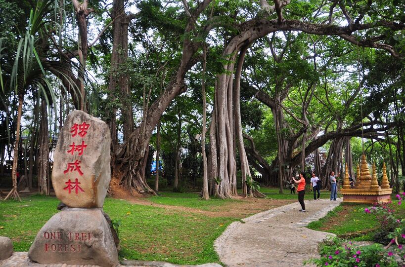 大理、騰沖、芒市雙飛6日